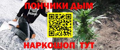 ПСИЛОЦИБИНОВЫЕ ГРИБЫ Коммунар