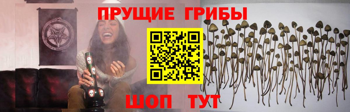 Дальнереченск  Галлюциногенные грибы Cubensis  Галлюциногенные грибы Magic Shrooms  Вход с VPN 